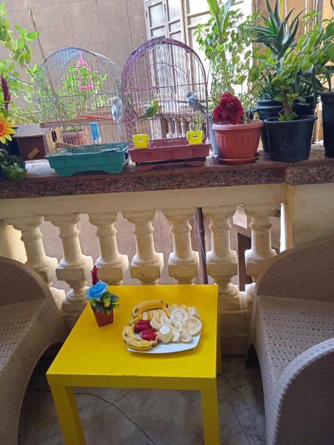 New Hostgram Hotel القاهرة المظهر الخارجي الصورة